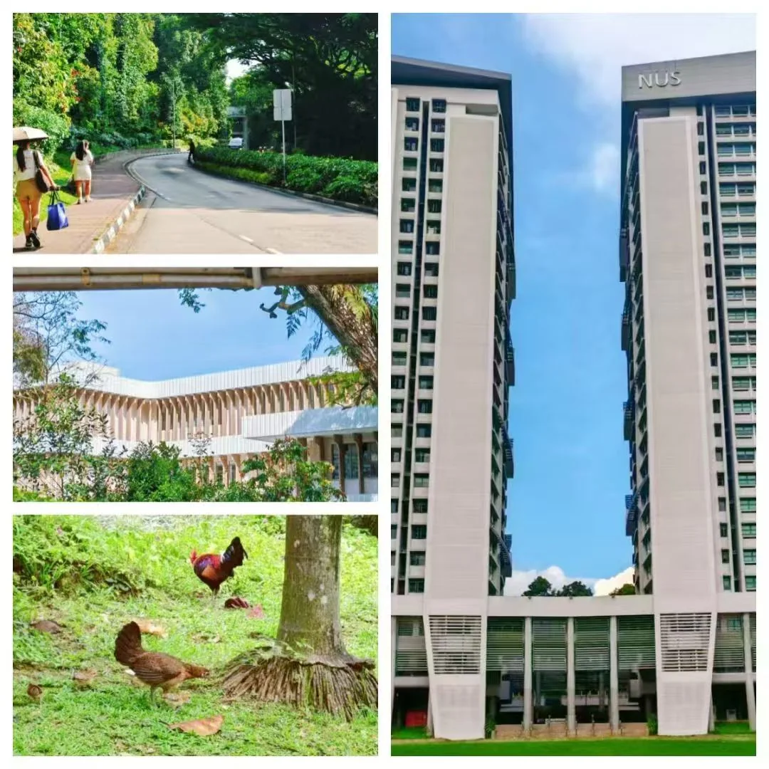 NUS campus and city walk, Singapore